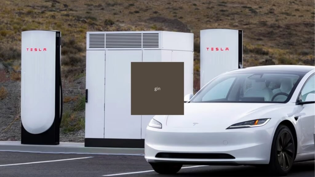 Tesla Plans